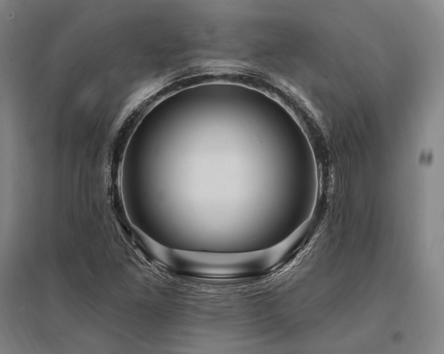 X0000095551261200712141547