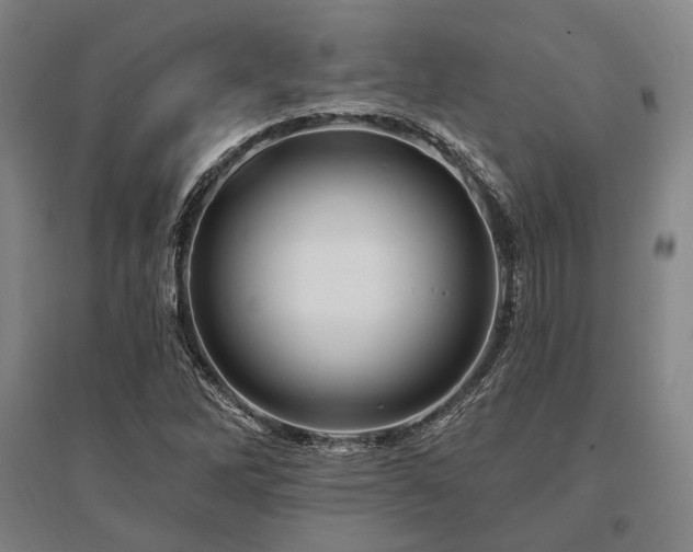 X0000095551262200712141547