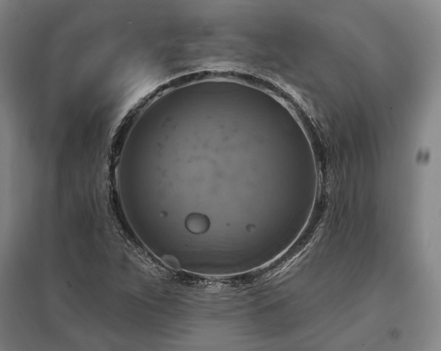 X0000095551263200712141547