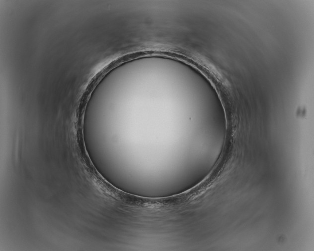 X0000095551264200712141547