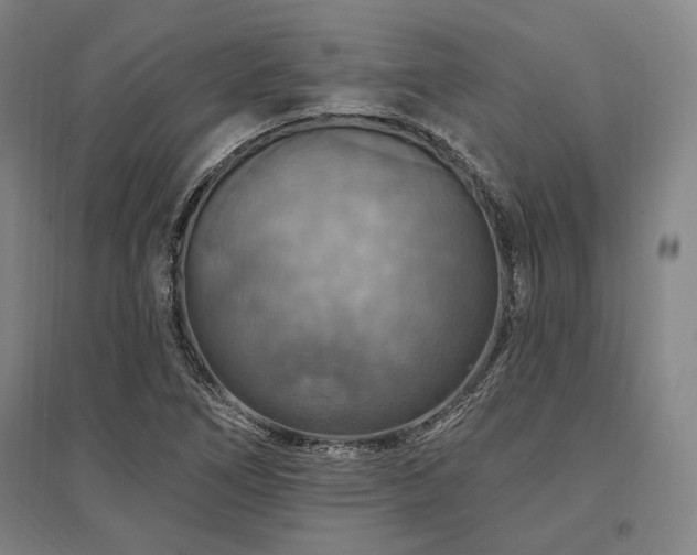 X0000095551266200712141547