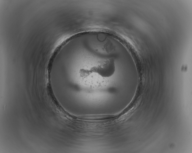 X0000095551267200712141547