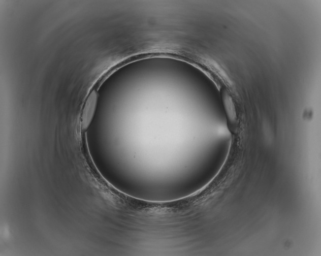 X0000095551268200712141547