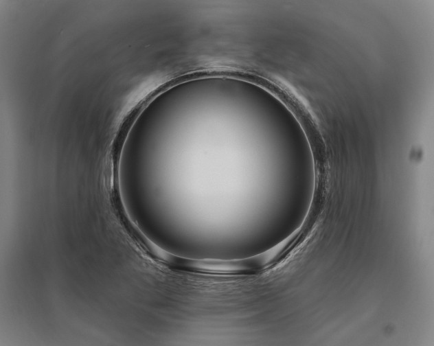 X0000095551269200712141547