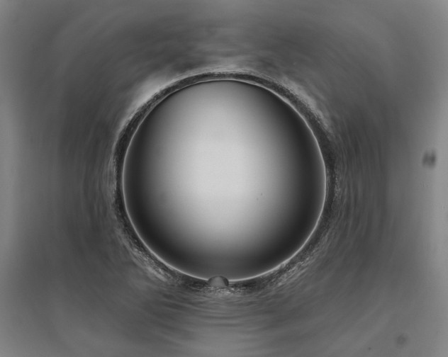 X0000095551270200712141547