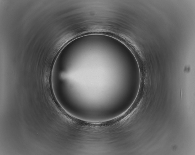 X0000095551273200712141547