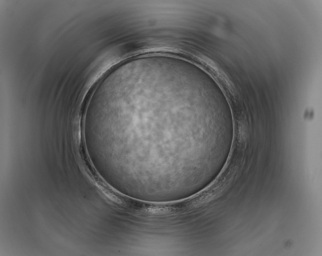 X0000095551274200712141547