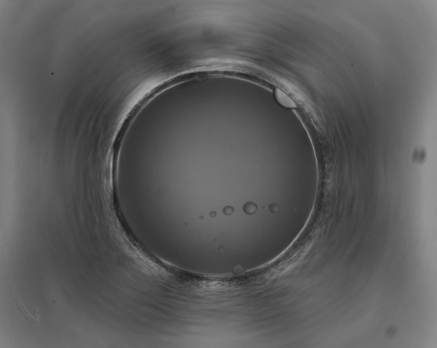X0000095551275200712141547