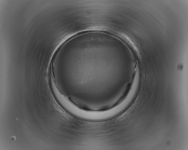 X0000095551276200712141547