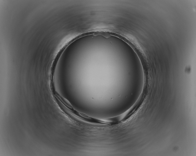 X0000095551277200712141547