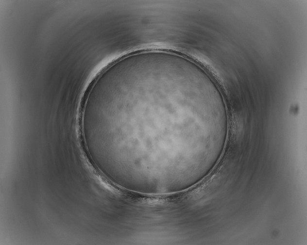 X0000095551278200712141547