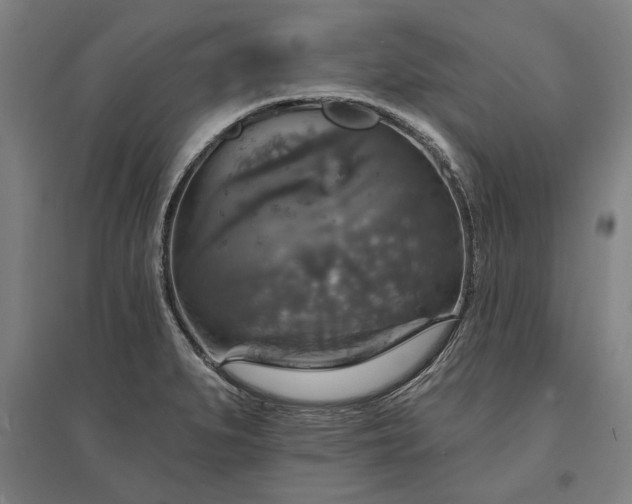 X0000095551279200712141547