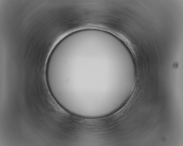 X0000095551280200712141547