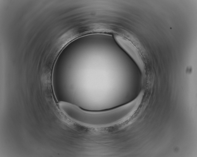 X0000095551281200712141547