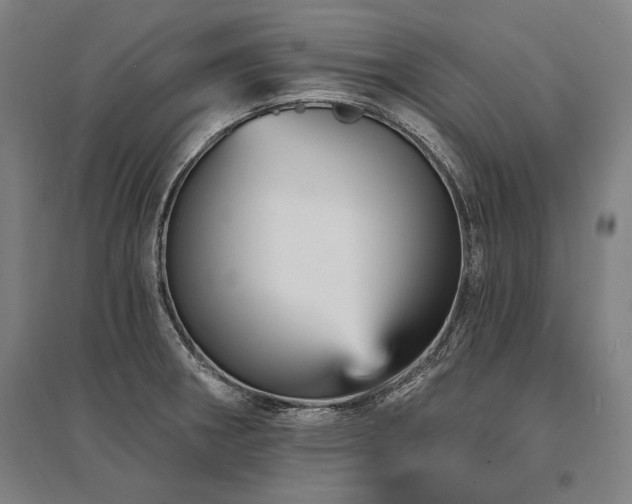 X0000095551282200712141547