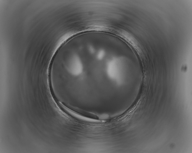 X0000095551283200712141547
