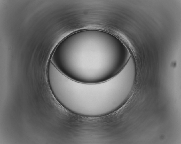 X0000095551284200712141547