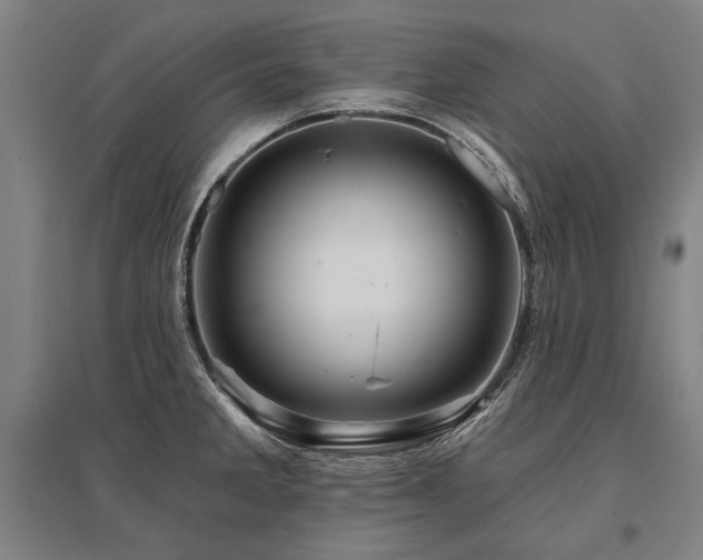 X0000095551285200712141547