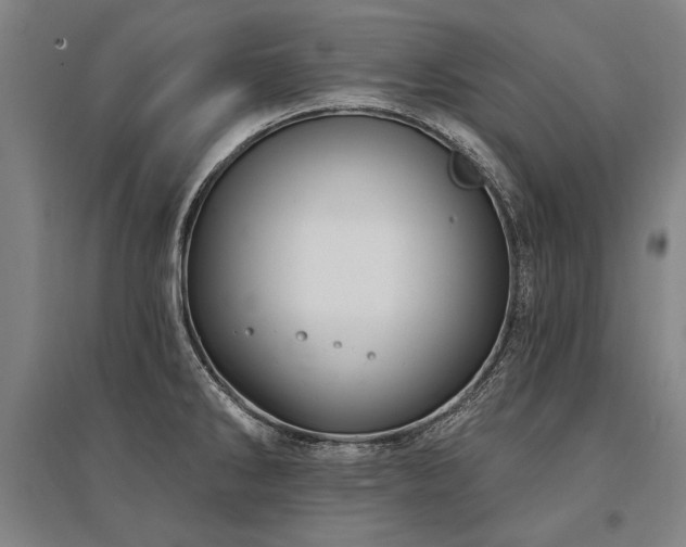 X0000095551286200712141547