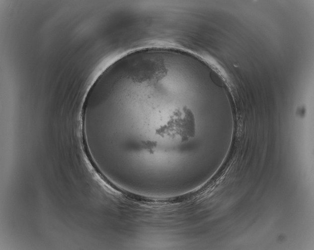 X0000095551287200712141547