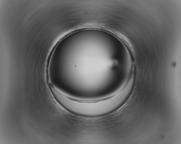 X0000095551288200712141547