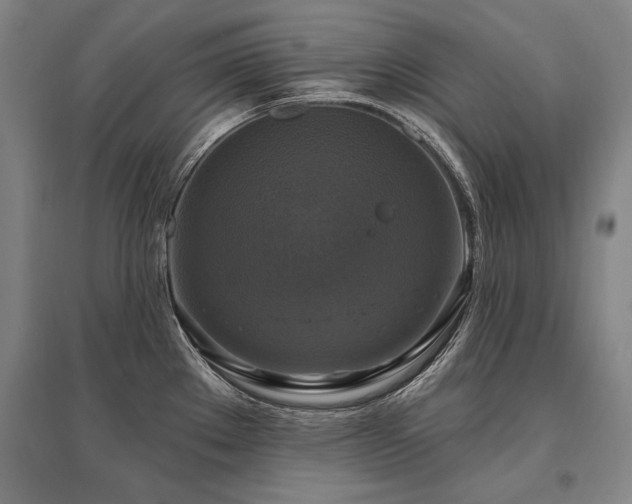 X0000095551289200712141547