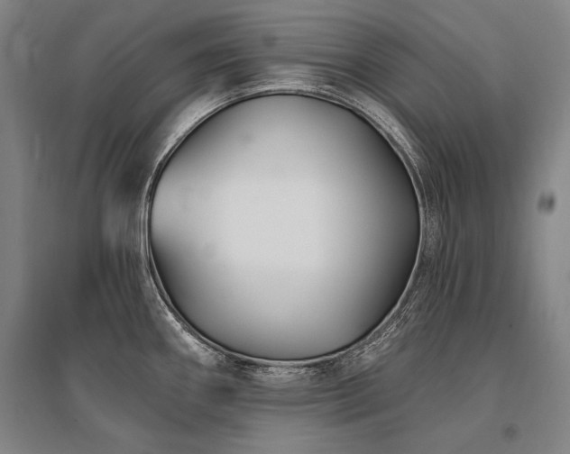 X0000095551290200712141547