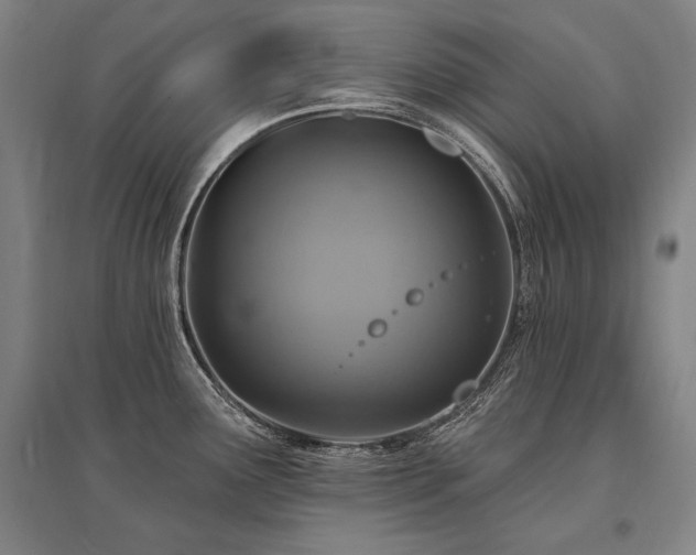 X0000095551291200712141547
