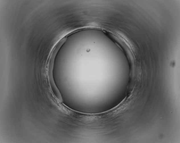 X0000095551292200712141547