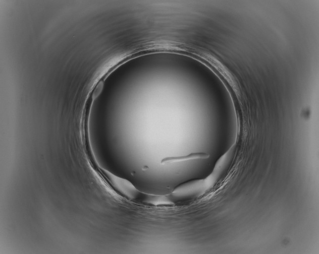 X0000095551293200712141547