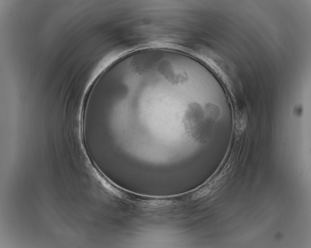 X0000095551294200712141547