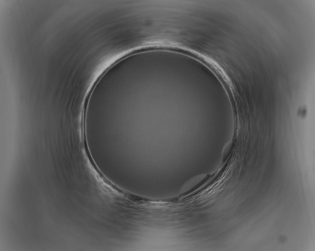 X0000095551295200712141547