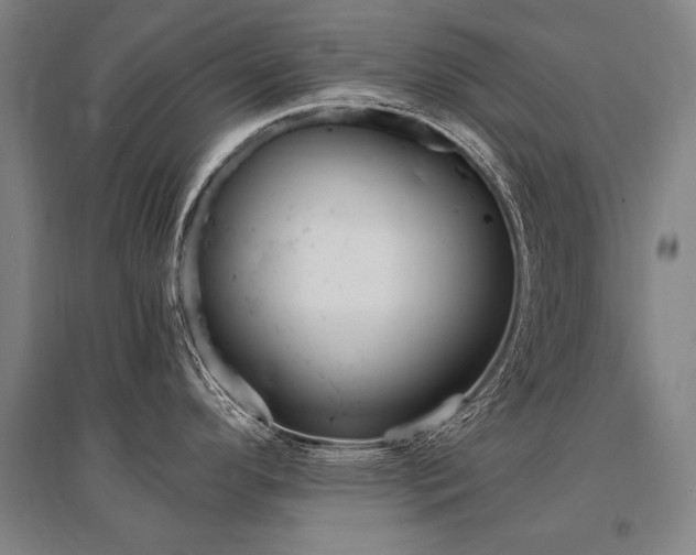 X0000095551296200712141547