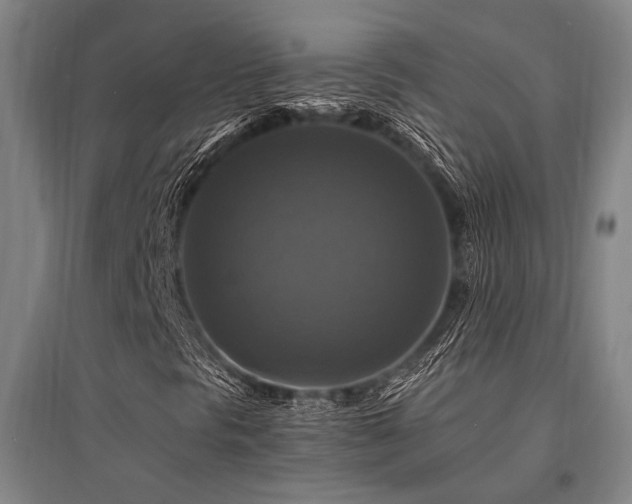 X0000095551297200712141546