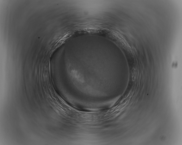 X0000095551298200712141546