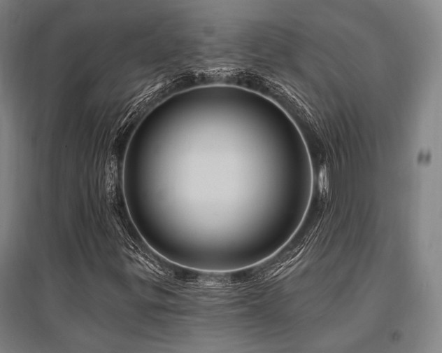 X0000095551299200712141546