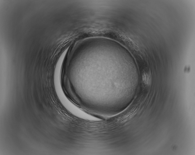 X0000095551300200712141546