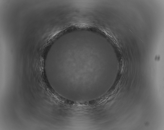 X0000095551301200712141546
