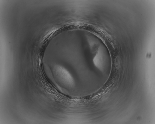 X0000095551302200712141546