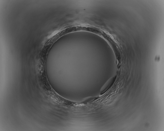 X0000095551303200712141546