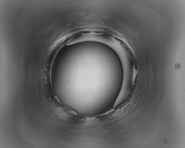 X0000095551304200712141546