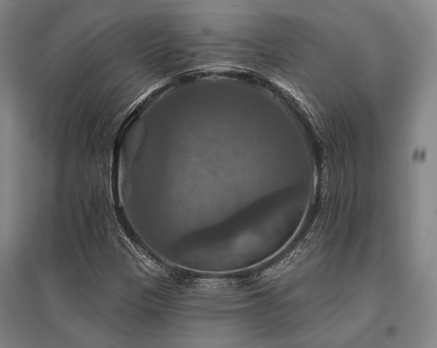 X0000095551305200712141546