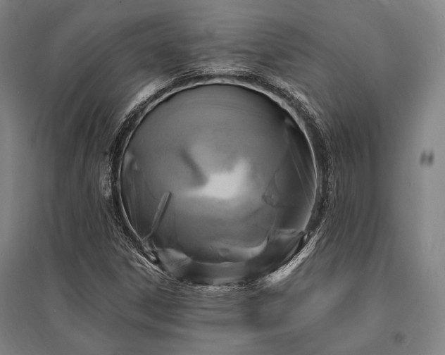 X0000095551306200712141546