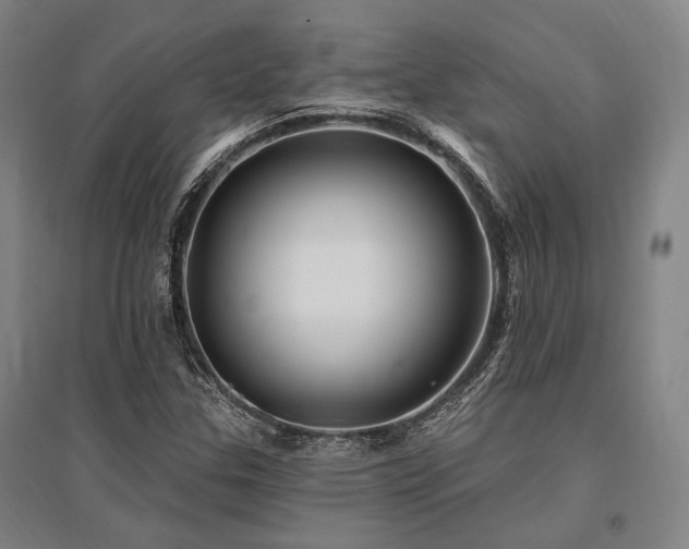 X0000095551307200712141546