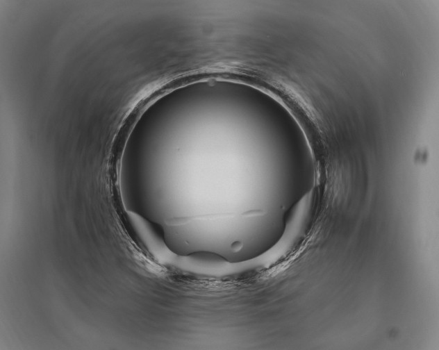 X0000095551308200712141546