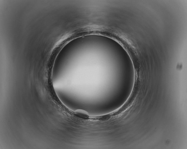 X0000095551309200712141546