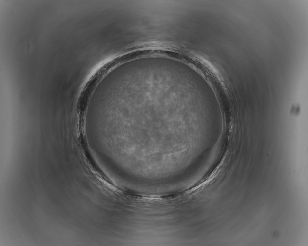 X0000095551310200712141546