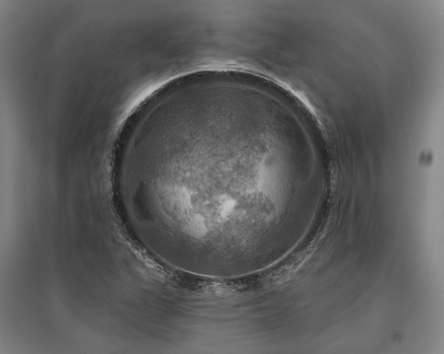 X0000095551311200712141546