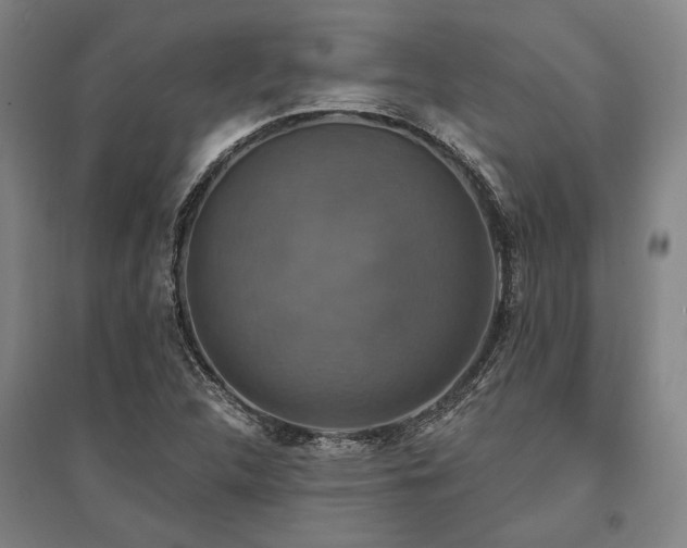 X0000095551312200712141546