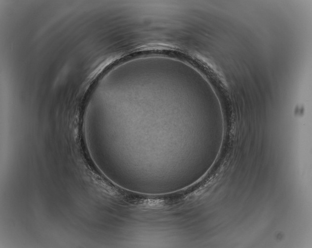 X0000095551313200712141546